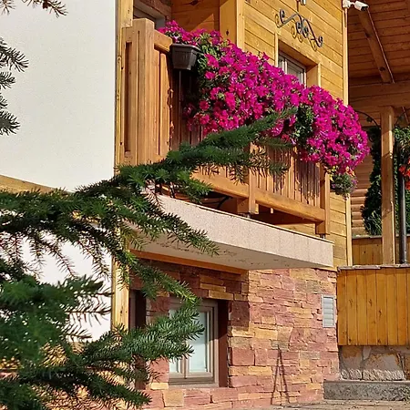 Natural Wood Apartment Zlatibor