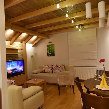 天然木别墅酒店 公寓 兹拉蒂博尔