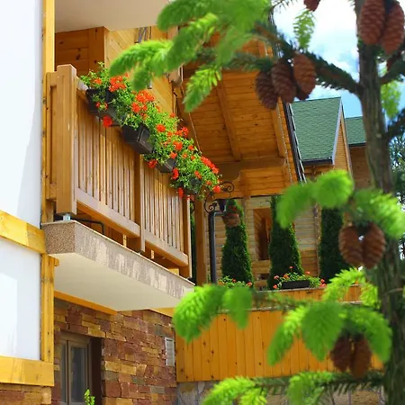 公寓 天然木别墅酒店 兹拉蒂博尔