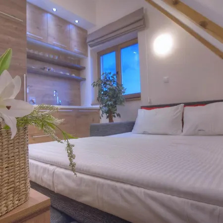 公寓 天然木别墅酒店 兹拉蒂博尔